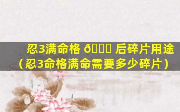 忍3满命格 🐒 后碎片用途（忍3命格满命需要多少碎片）